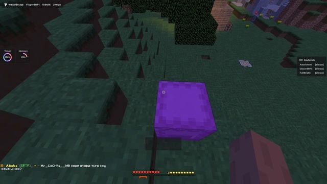 ВАЖНАЯ ИНФОРМАЦИЯ ОТ ФЛЮГЕРА | REALLYWORLD | SUNRISE | FLUGER NEW | РАЗВИТИЕ ПОСЛЕ ВАЙПА | STORMHVH