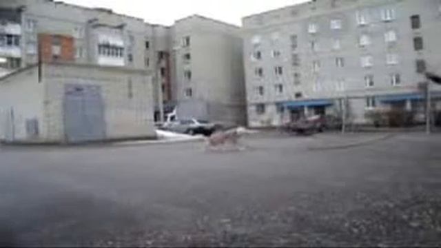 Тренировка Рэма. смотреть онлайн
