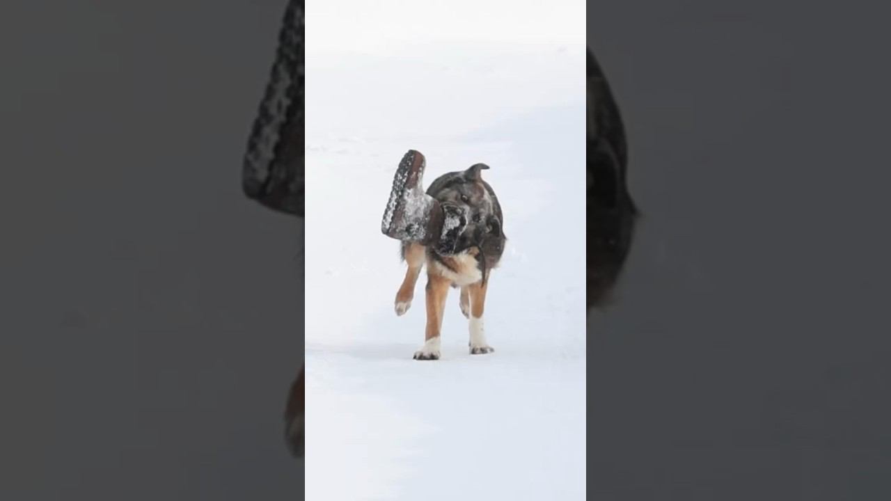На дворе XX век, а у нас… смотреть онлайн