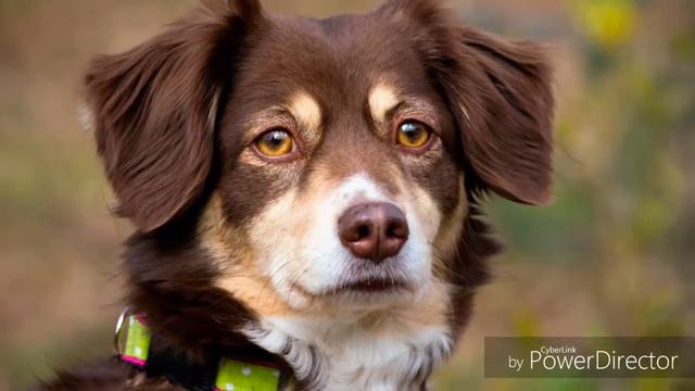 Учёные ищут другие рассы на других планетах но другие рассы ближе чем кажется!!! смотреть онлайн