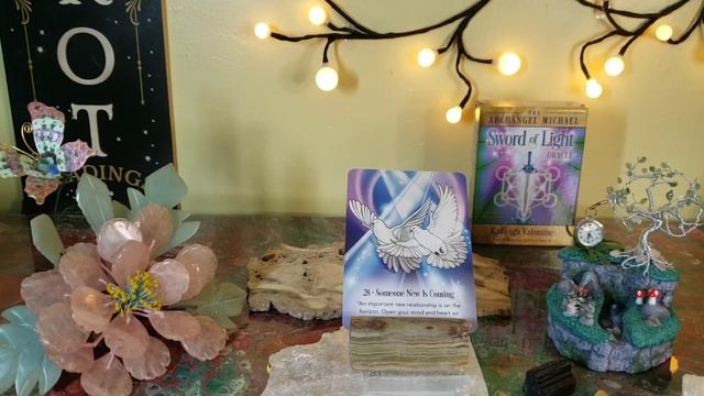 Archangel Michael Message From The Sword Of Light Oracle Deck - Card Number 28 Someone New Is Comin смотреть онлайн
