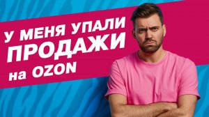 У меня упали продажи на Ozon. Или об анализе категорий и сезонности.