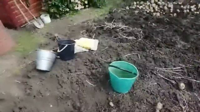 Грохотная картофелекопалка для мотоблока смотреть онлайн