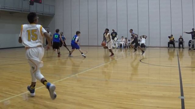 Gametime Tigers 2024 SA Excel TNY Game 3 Feb 2018 8of9 смотреть онлайн