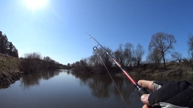 Щука на спиннинг,за неделю до запрета. смотреть онлайн