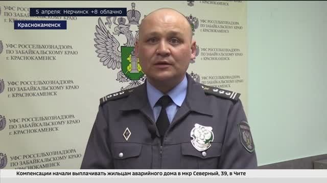 Россельхознадзор по Забайкальскому краю