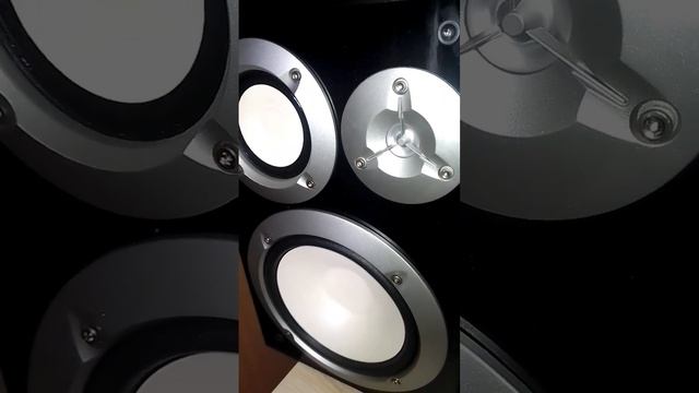 Полочники Yamaha NS-6490 смотреть онлайн