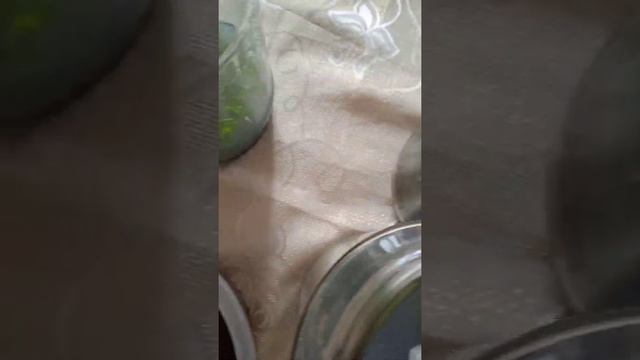 Обработка сеянцев от спор смотреть онлайн