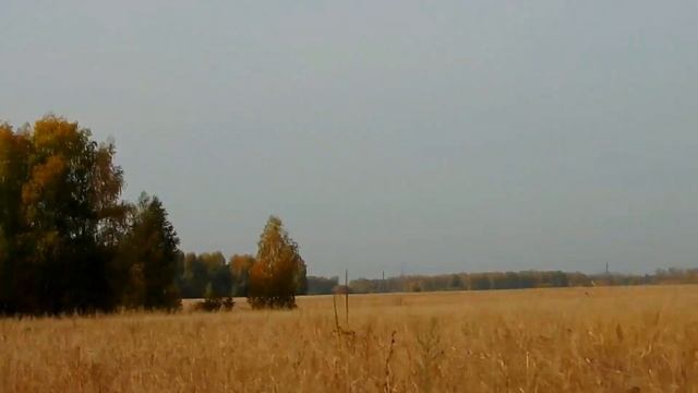 Отговорила роща золотая. смотреть онлайн