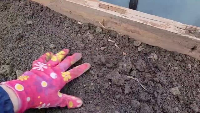 Как меня Кристина до слёз довела \ Как чувствует себя бычок смотреть онлайн