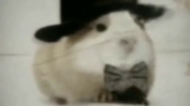 Dame Da Ne Meme (даме даме мем)