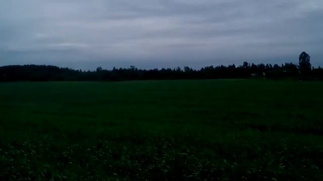 Жизнь прожить не поле перейти. Красота, колхозное поле. смотреть онлайн