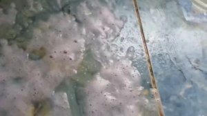 ЧЕМ УДАЛИТЬ РЖАВЫЙ НАЛЕТ НА КЕРАМИЧЕСКОЙ ПЛИТКЕ!