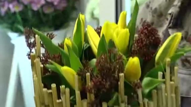 Сибирская Орхидея реклама