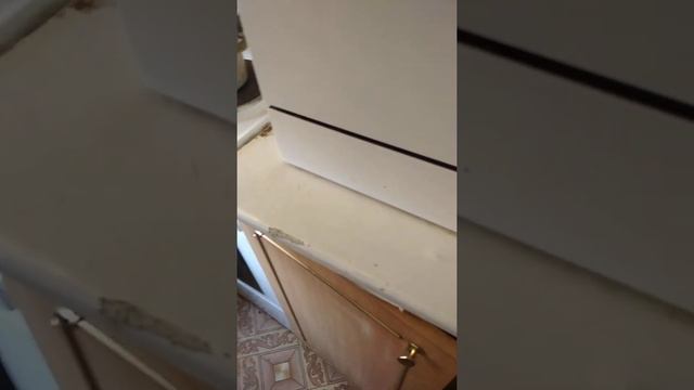 Кулинарное чудо 