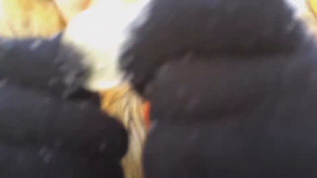 Эксперимент 1 .Поведутся ли люди купить сахар за 5 рублей- это снег ❄️ 😂😂