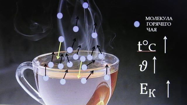 Физика 8 кл(2019г)Пер §17 Упр 13 № 2 . Почему горячий чай остывает быстрее , если на него дуют _ смотреть онлайн