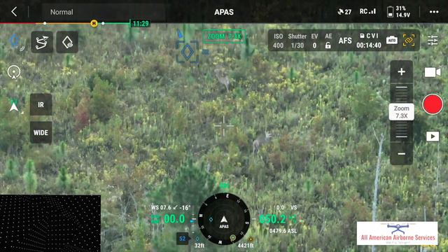 6 Big Bucks Travelling Wildlife Survey | Drone for Deer Recovery | Mavic 3T Thermal Drone | Part 10 смотреть онлайн