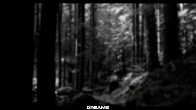 DREAMS | SilentHill Inspired Ambient | Dark Atmosphere | Free background music | No Copyright Music смотреть онлайн
