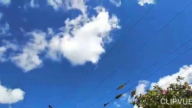 НЕЖНО - ФИОЛЕТОВАЯ РУСЬ... смотреть онлайн