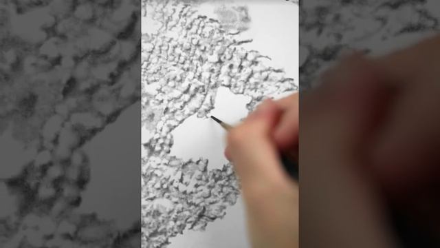 Ультрареалистичный автопортрет ##искусство #рисование лица #процесс рисования #эскиз смотреть онлайн
