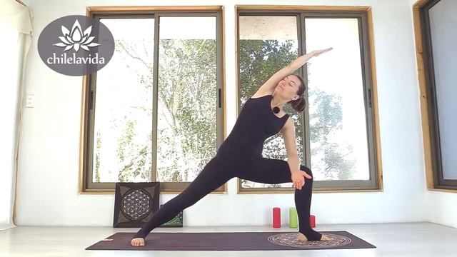 РАСТЯЖКА НА ВСЕ ТЕЛО День 1 _ РАСТЯЖКА СПИНЫ _ ВЫТЯЖЕНИЕ и Упражнения на растяжку _ Йога chilelavida смотреть онлайн