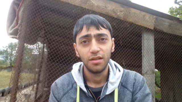 Долгожданный анализ ПЦР (АНОНС) смотреть онлайн