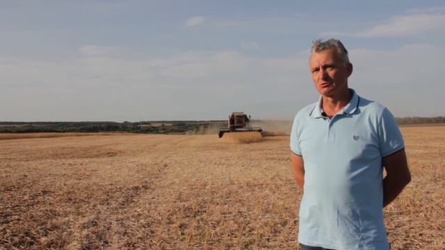 Уборка 2020 Соя сорт Белгородская 7ая Подводим итоги по сорту смотреть онлайн