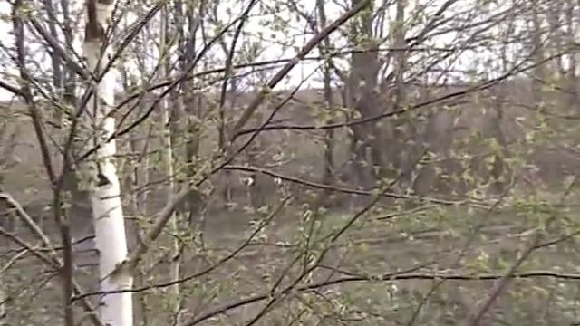 Родная деревня смотреть онлайн