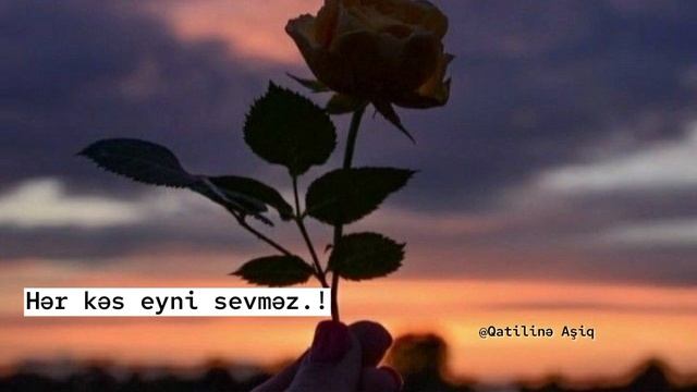 Whatsapp Statusları, MƏNALI Statuslar, Status Üçün Videolar, QEMLİ WHATSAPP STATUSLARI 2023 ??⚘