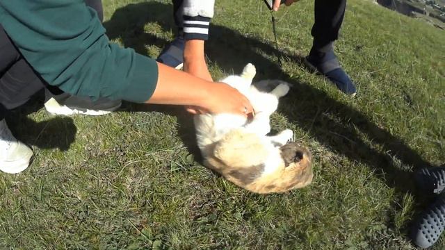 Большое автопутешествие Северодвинск-Северный Кавказ. Часть третья. Горный Дагестан. смотреть онлайн