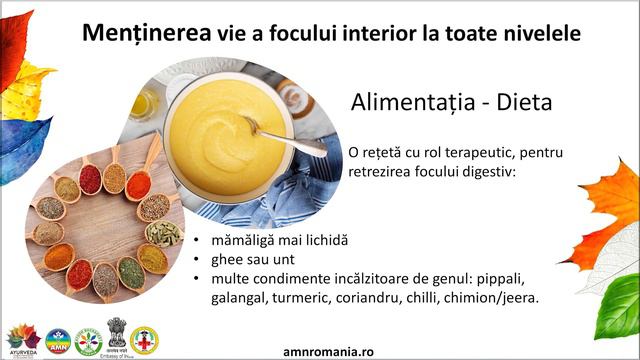 Modalități ayurvedice de menținere a echilibrului în perioadele de trecere dintre anotimpuri смотреть онлайн