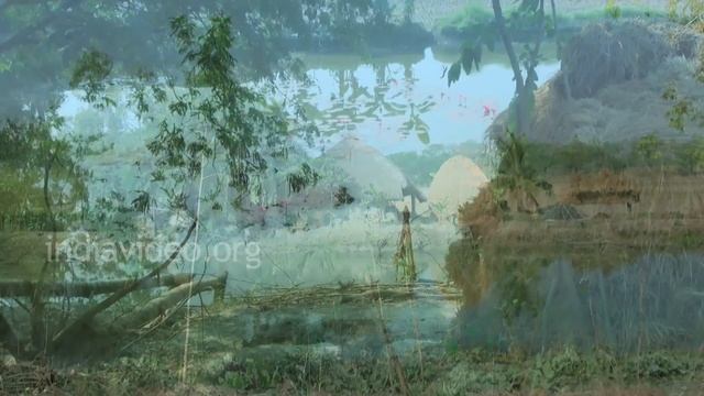 Village Huts, Canning, West Bengal смотреть онлайн