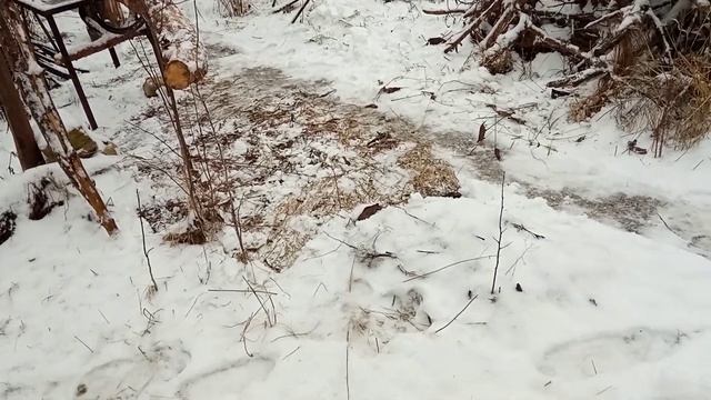 Ленивая КОЗА, простейшие козлы для распиловки! смотреть онлайн