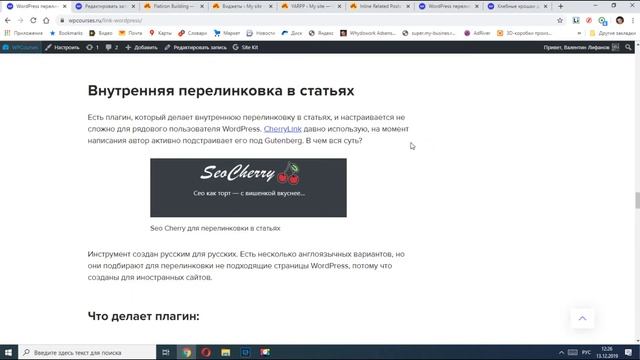 Перелинковка в страницах WordPress смотреть онлайн