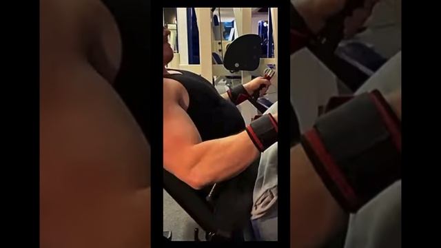 Школьная суета