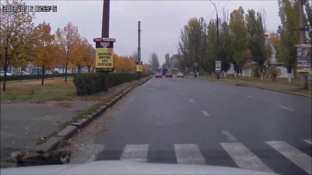 Собака-веселушка )) смотреть онлайн