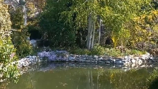 Замок РАВАДИНОВО. Болгария смотреть онлайн