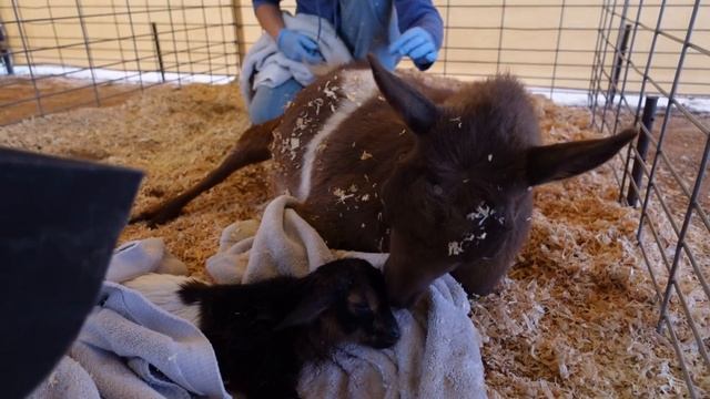 Worst Case Scenario..... смотреть онлайн