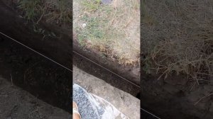 установка столбов под навес размером 7, 5*7,5 метров