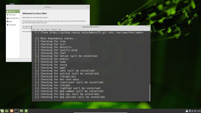 Pi hole LinuxMint 19.3 смотреть онлайн