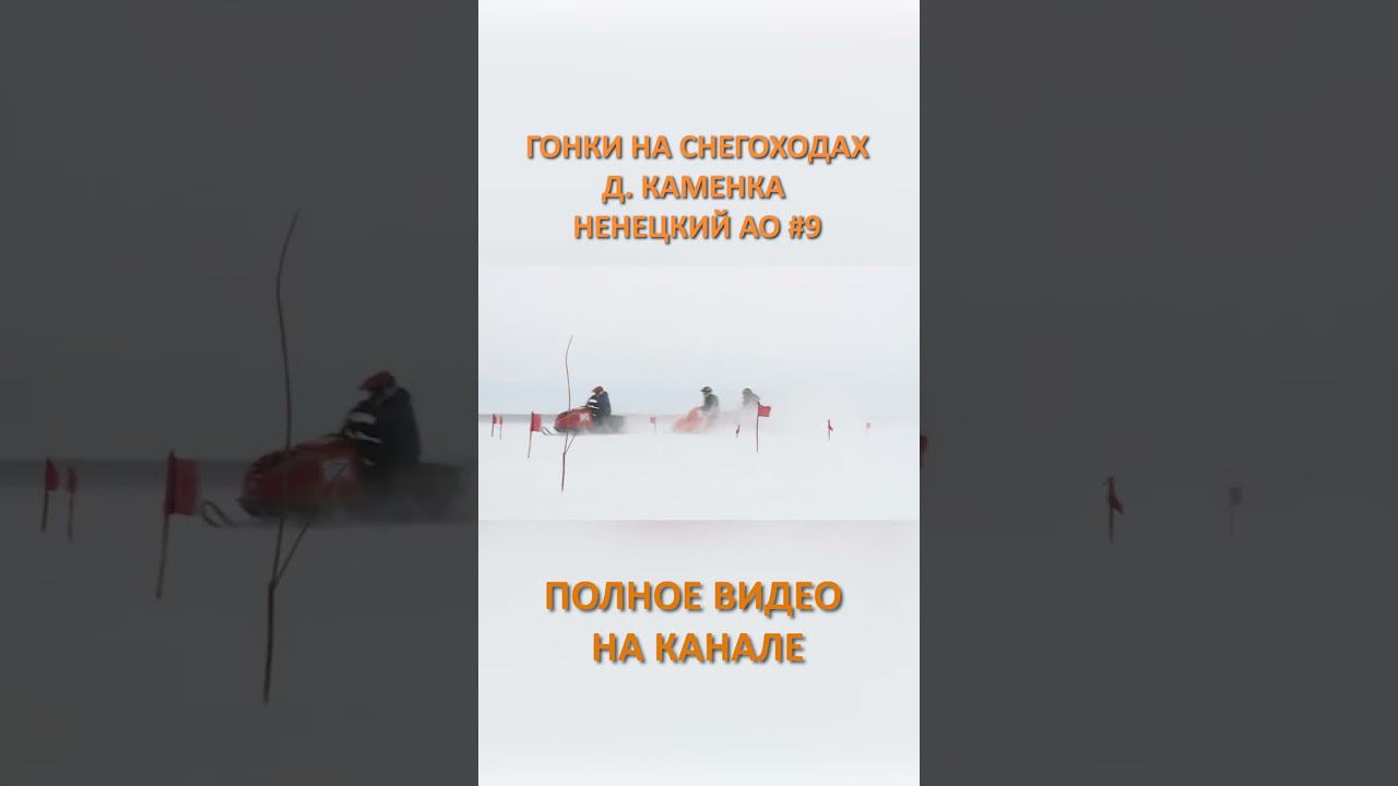 ГОНКИ НА СНЕГОХОДАХ КАМЕНКА 9 SHORTS #SHORTS смотреть онлайн