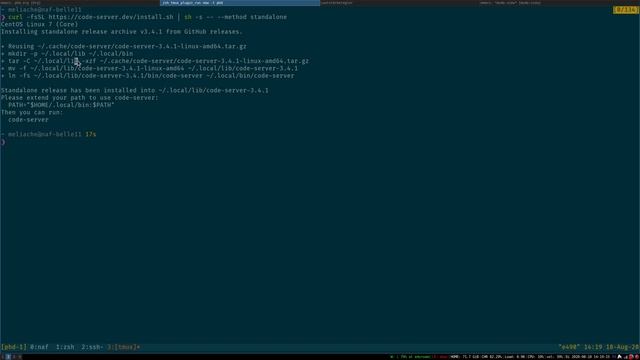 Working with a basf2-aware VS code-server on the DESY NAF or KEKCC смотреть онлайн