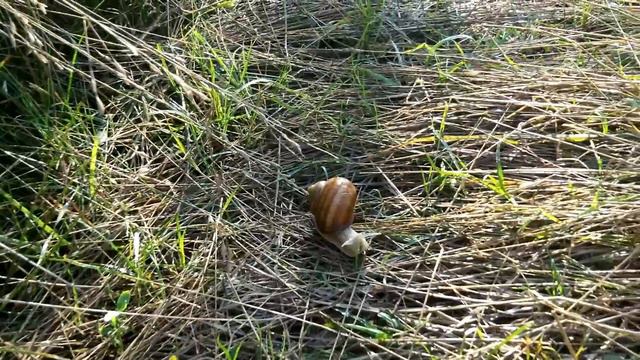 Днестр отдых и рыбалка.mp4 смотреть онлайн