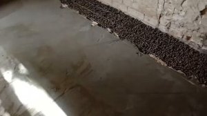 Полы по грунту в частном доме#бетоннаяплита##утепленныйпол#лучшийпол#керамзитобетон#эппс#пескобетон