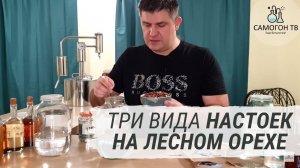 Ставим три вида домашних настоек на лесном орехе (фундуке)