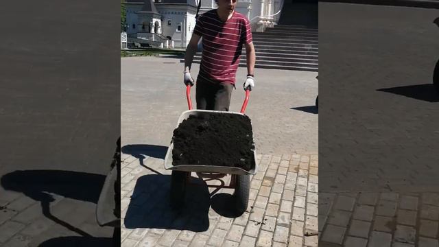 Субботник в Раевском саду 5.06.2021г. смотреть онлайн