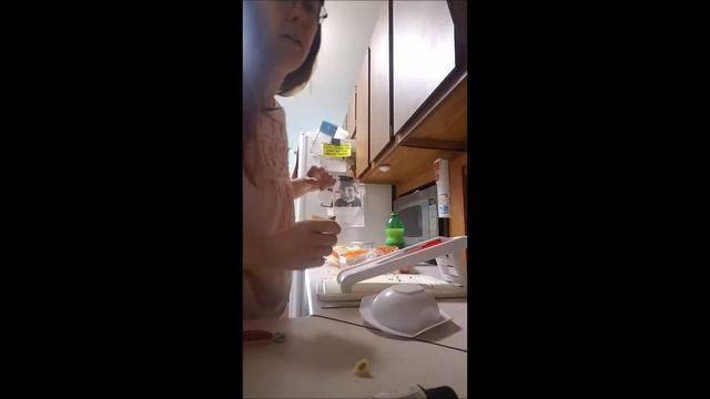Easy Dehydrated Apple Chips- Our Favorite Road Trip Snack смотреть онлайн