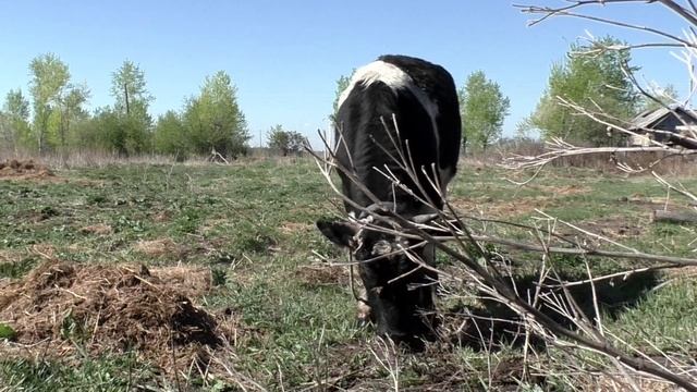 Строительная Сага