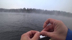 Crazy Fish VERSUS - Рыбалка на спиннинг 2021 года. Первые впечатления